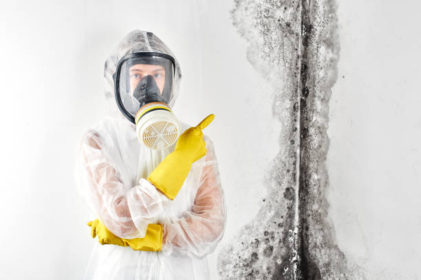 Mold Removal for HVAC Installations in South Lancaster, MA